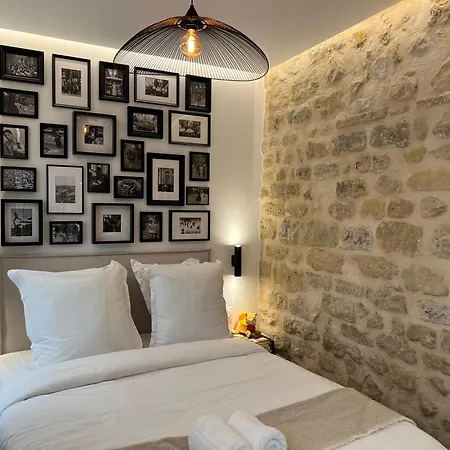 Clouet-paris Centre- Xve! Appartement