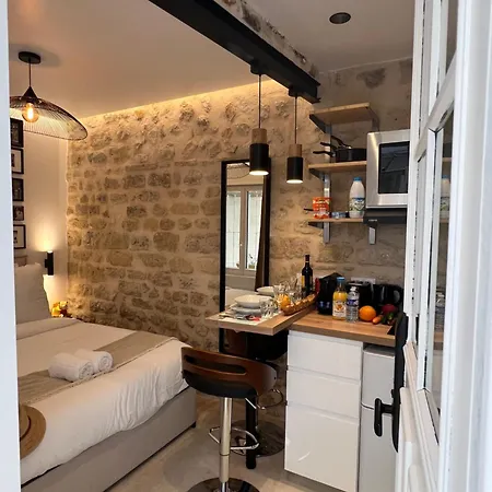 Clouet-paris Centre- Xve! Apartment