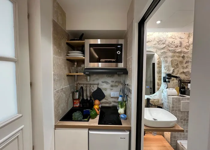 Daire Clouet-paris Centre- Xve!