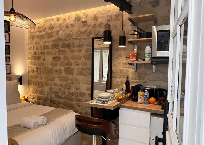 Clouet-paris Centre- Xve! דירה